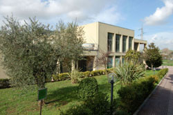 Scuola Elementare e Materna Via Togliatti